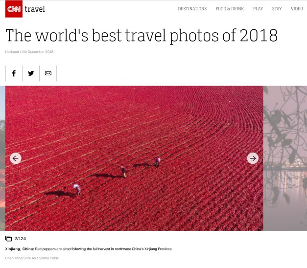 Screen Shot 2018-12-17 at 3.46.34 PM