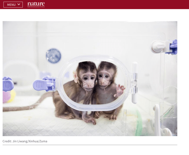 Screen Shot 2018-12-19 at 4.37.52 PM.png