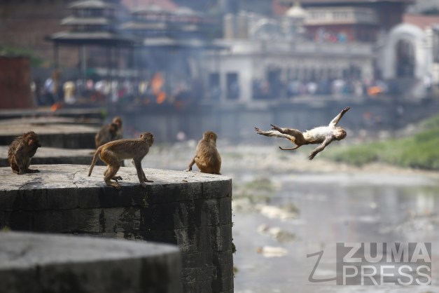 20180526_zap_g200_002-2