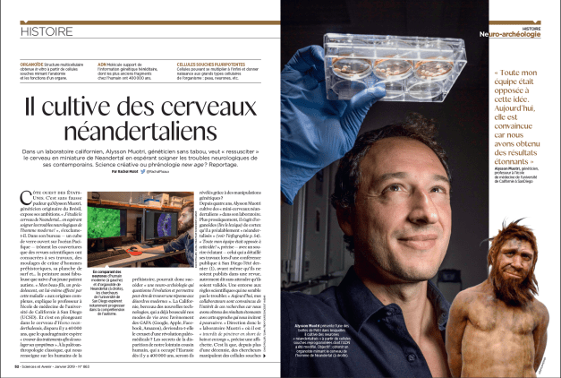 screen shot 2019-01-17 at 1.33.17 pm