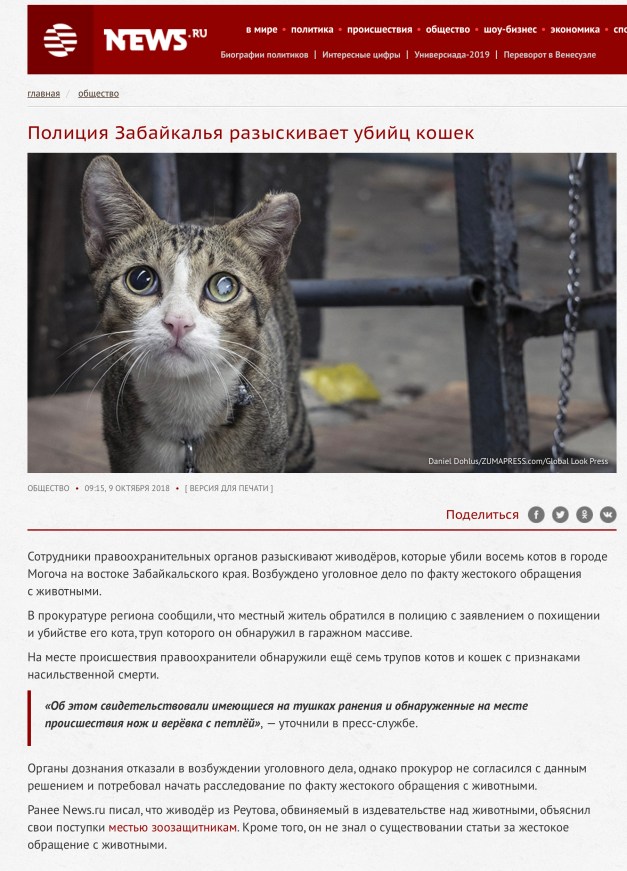 Screen Shot 2019-02-11 at 5.09.36 PM copy