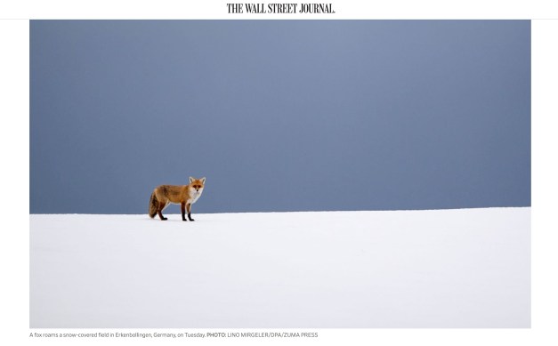 Screen Shot 2019-02-18 at 2.59.20 PM copy.jpg