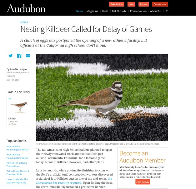 Screen Shot 2019-04-11 at 12.00.51 PM copy