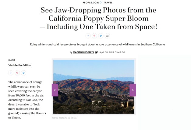 Screen Shot 2019-04-30 at 3.15.01 PM copy