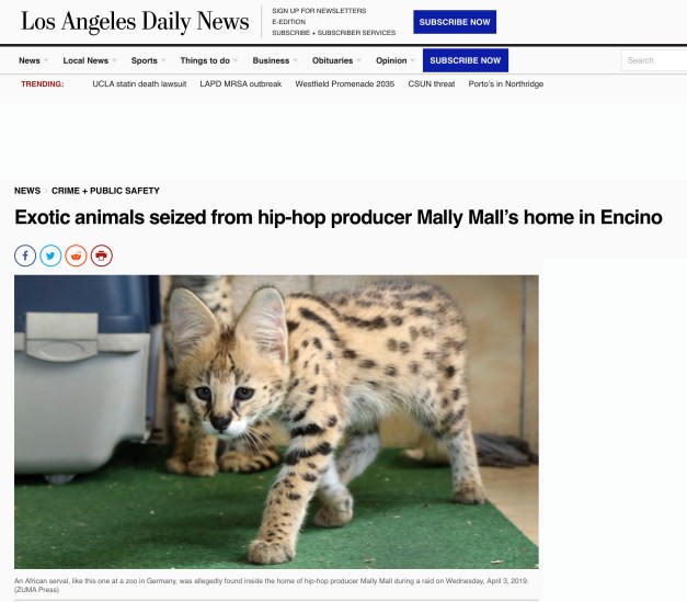 Screen Shot 2019-05-07 at 2.36.21 PM copy