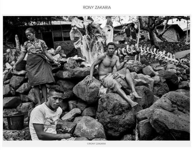 Screen Shot 2019-12-26 at 12.14.48 PM copy.jpg