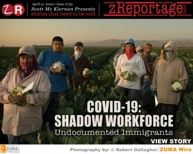 COVID-19: Shadow Workforce: Undocumented Immigrants