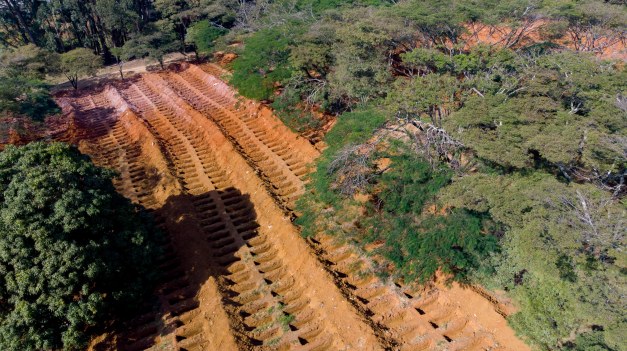 COVID-19: VICTIMS: Brazil