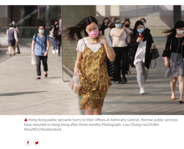 Screen Shot 2020-05-08 at 1.03.21 PM copy