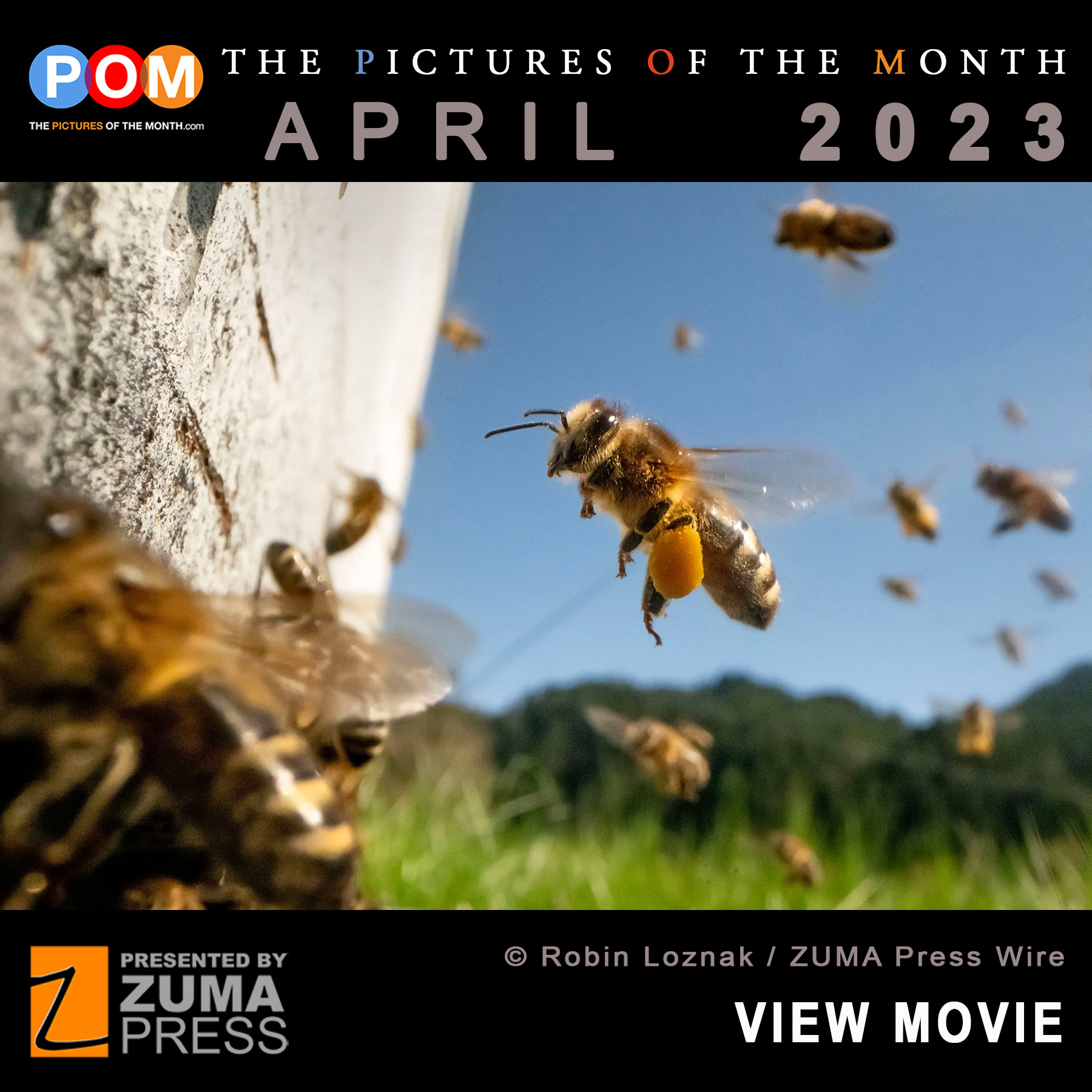 Sit back and enjoy the April Pictures of the Month presented by Scott ...